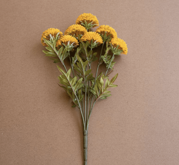 Mustard Dahlias